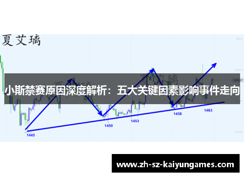 小斯禁赛原因深度解析：五大关键因素影响事件走向
