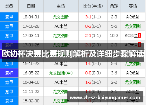 欧协杯决赛比赛规则解析及详细步骤解读