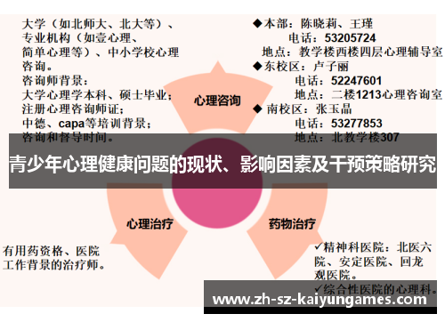 青少年心理健康问题的现状、影响因素及干预策略研究