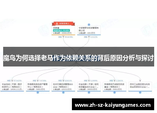 魔鸟为何选择老马作为依赖关系的背后原因分析与探讨