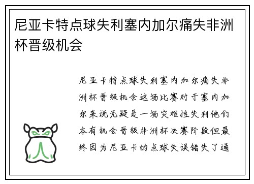 尼亚卡特点球失利塞内加尔痛失非洲杯晋级机会